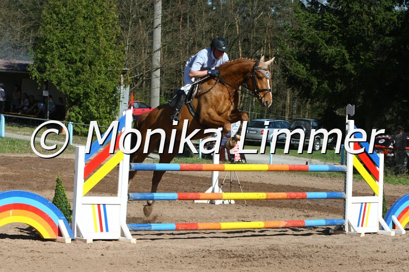 204M8756_Lucky Luke_Springpferde_L.JPG